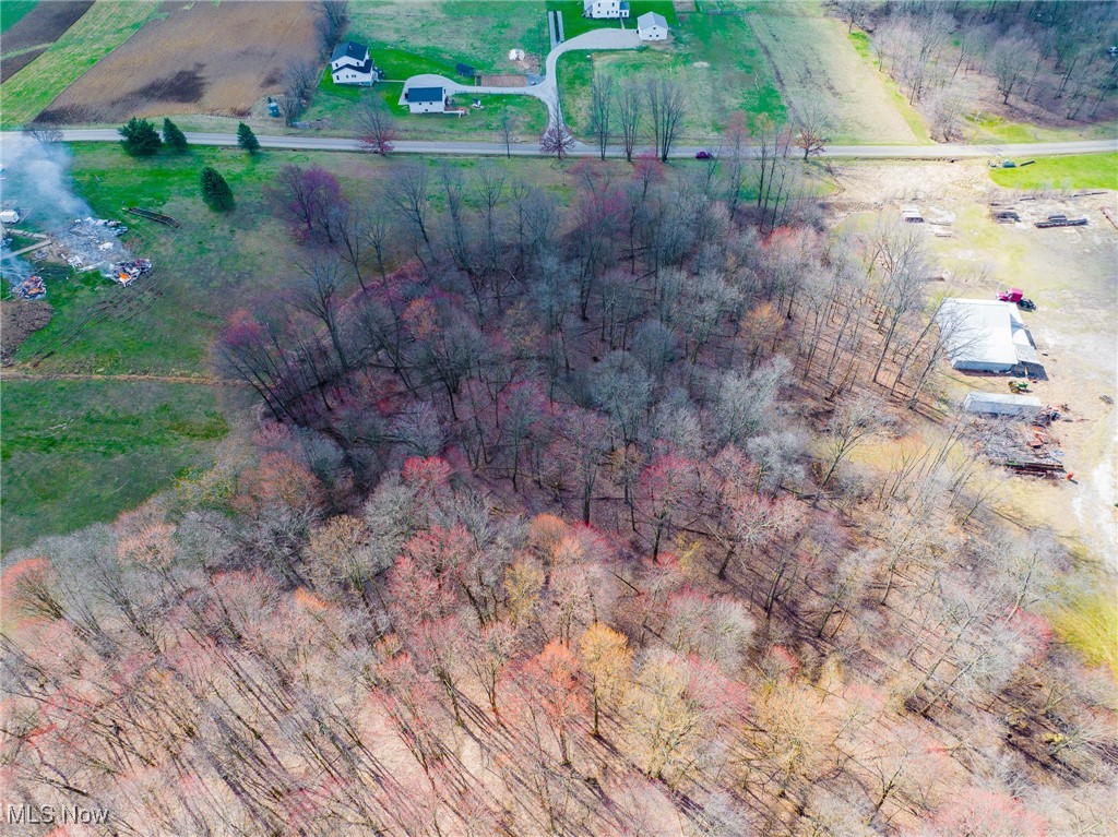 Arney Road Navarre, OH 44662 - Photo 20 of 33 Aerial view