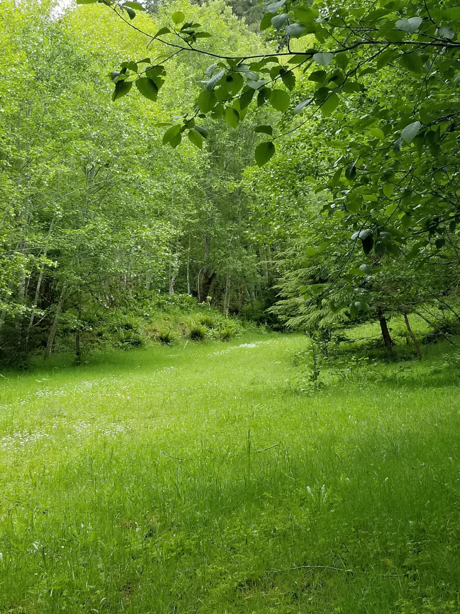 Tl#200 North North Bank Road Otis, OR 97368 - Photo 5 of 9 20180517_140824