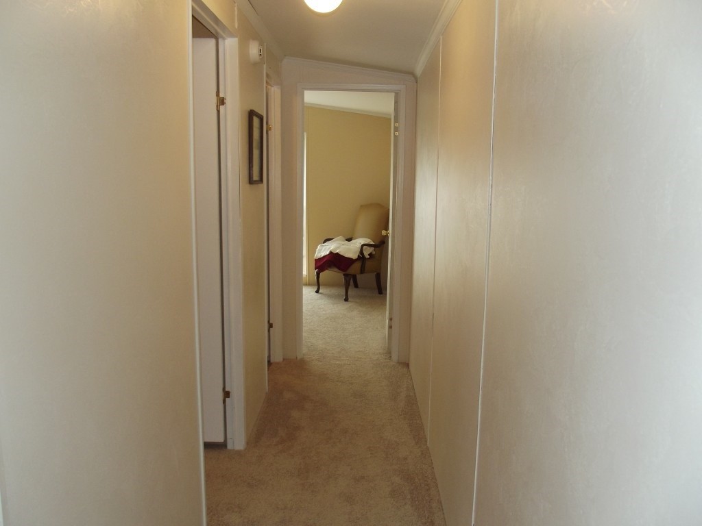 324 Creek Road Spring City, TN 37381 - Photo 30 of 70 Gallery Image 30