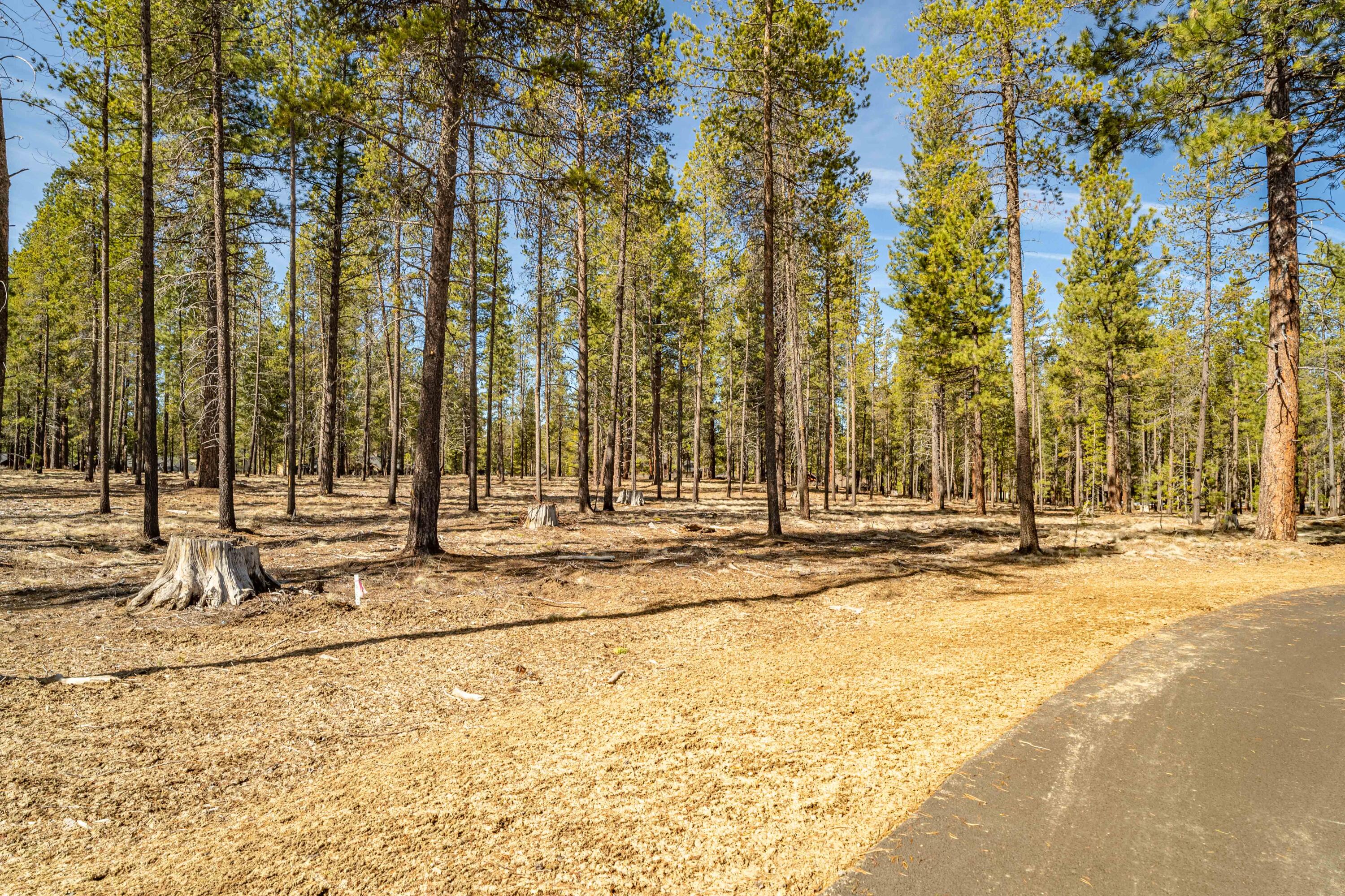 Cottontail Loop Bend, Unit 467 Bend, OR 97707 - Photo 6 of 20 DSC07572-HDR