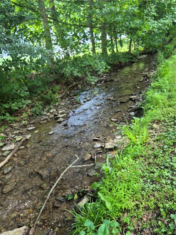 117 Cowpath Road Aliquippa, PA 15001 - Photo 40 of 50 STREAM ALONG FRONT YARD