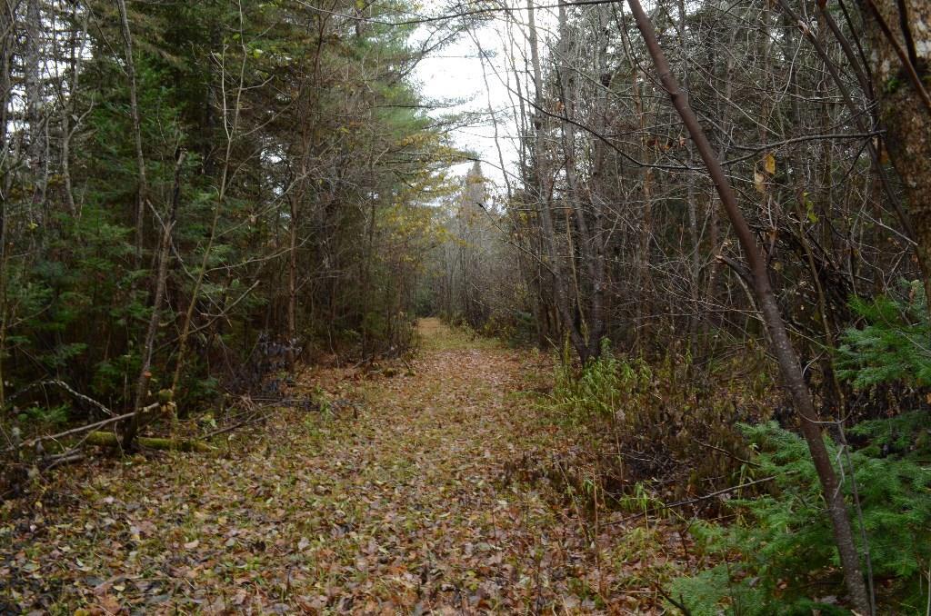 On Skagrock Road Wytopitlock, ME 04497 - Photo 15 of 22 Maine Land for Sale in Haynesville,...