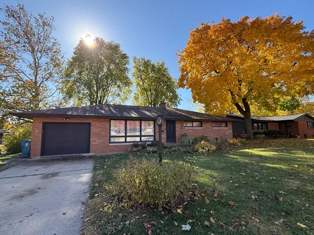a backyard of a house with plants and large tree