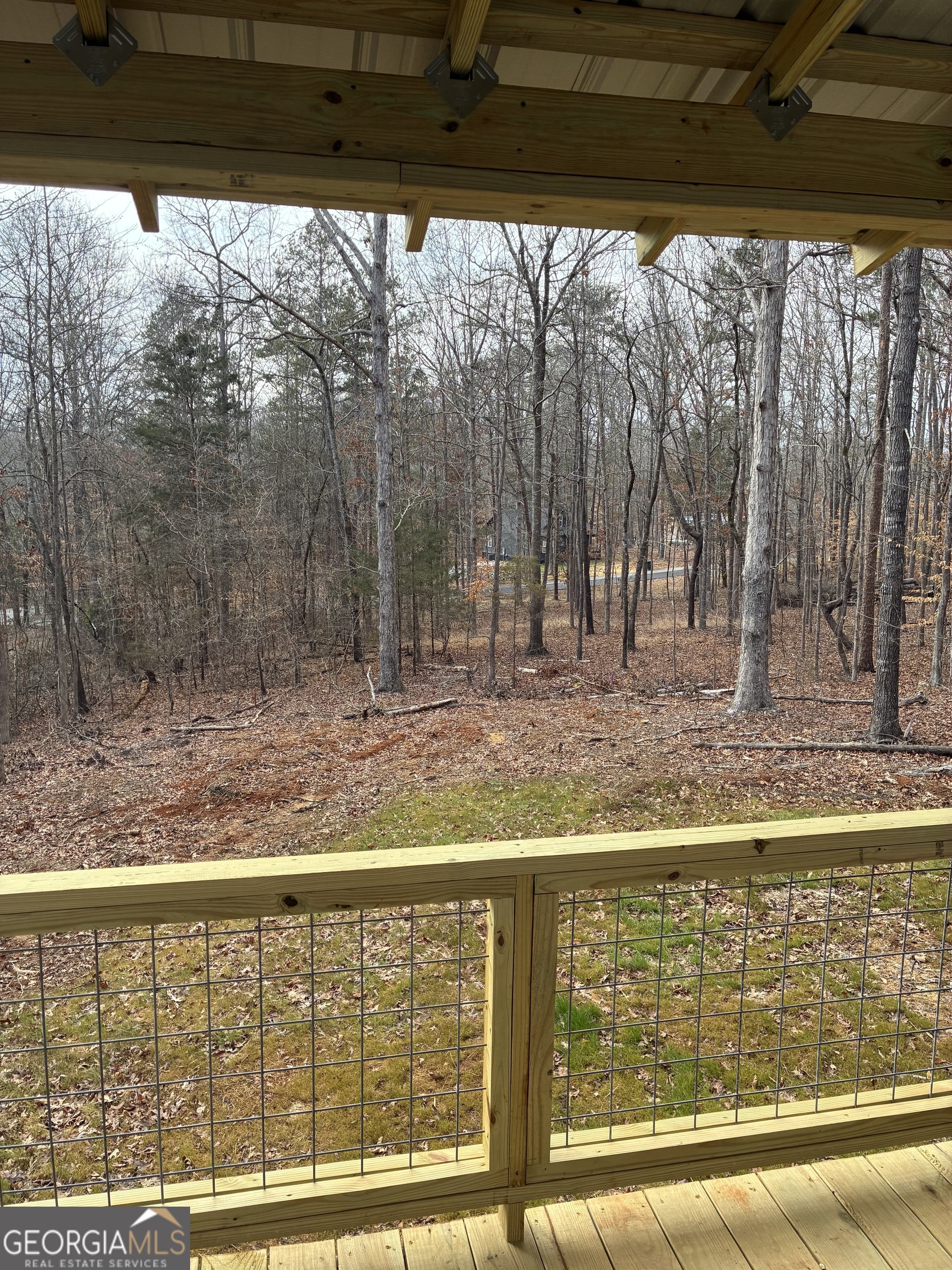 312 Hillshore Road Lavonia, GA 30553 - Photo 2 of 11 a view of swimming pool with trees in the background