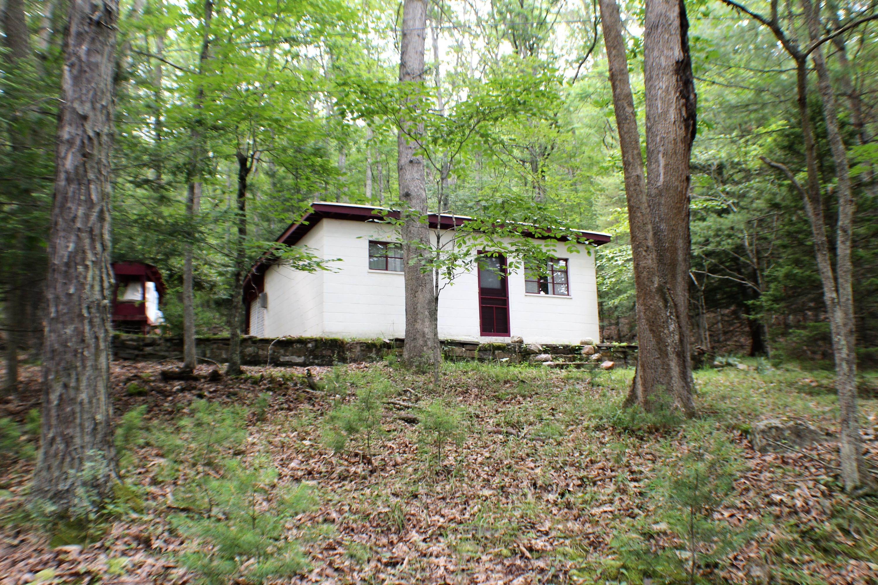 Cass Road Cass, WV 24927 - Photo 8 of 14 Gallery Image 8