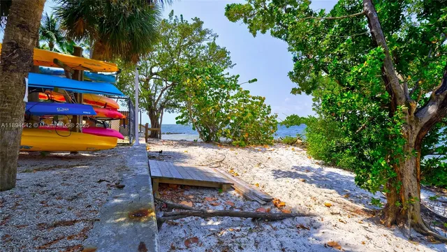 a view of a garden with plants