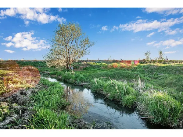 a view of a lake with a yard
