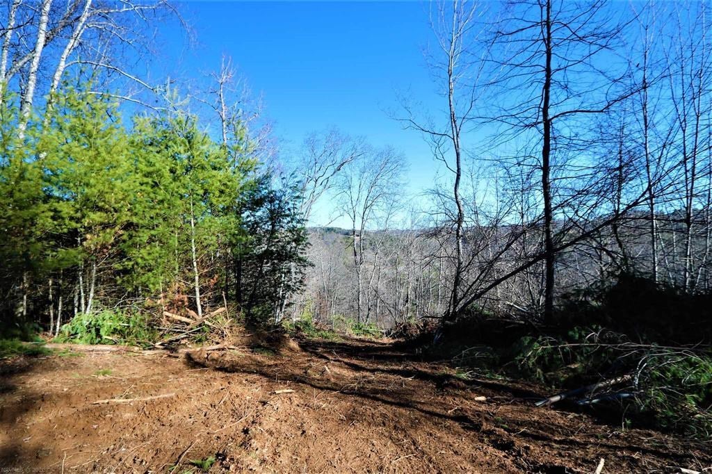 392 Elephant Curve Road Northwest Floyd, VA 24091 - Photo 14 of 27 Gallery Image 14