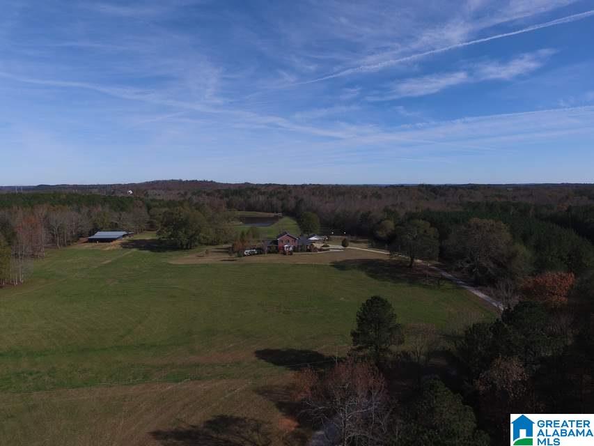 3258 Youngs Mill Road Lineville, AL 36266 - Photo 44 of 50