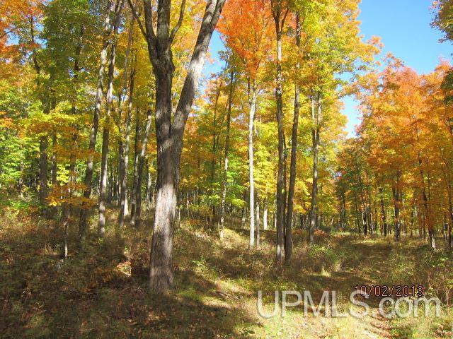 Tbd WPA Road Crystal Falls, MI 49920 - Photo 8 of 33