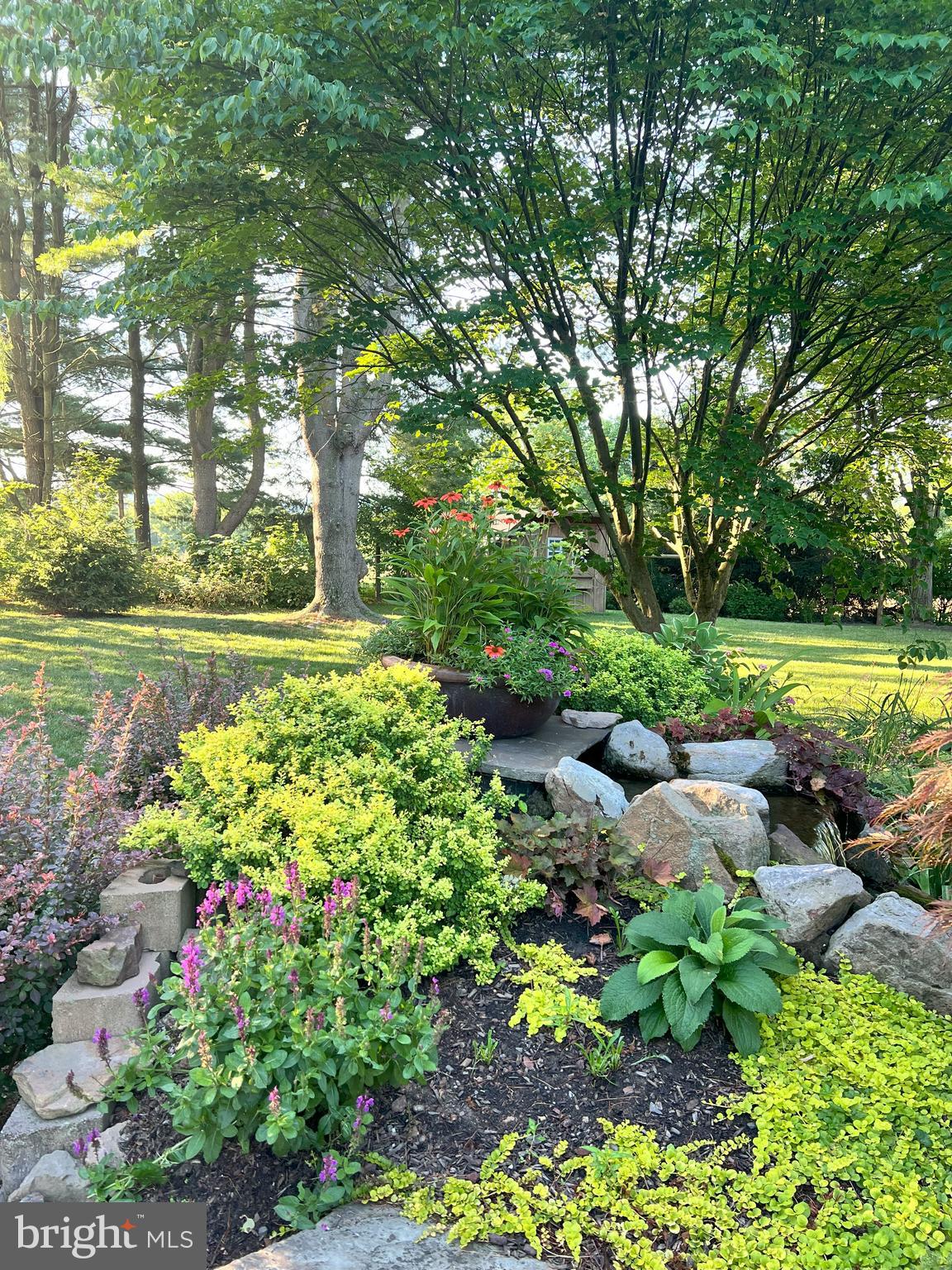 6774 Chapel Road New Hope, PA 18938 - Photo 55 of 59 a view of a big yard with plants and large trees