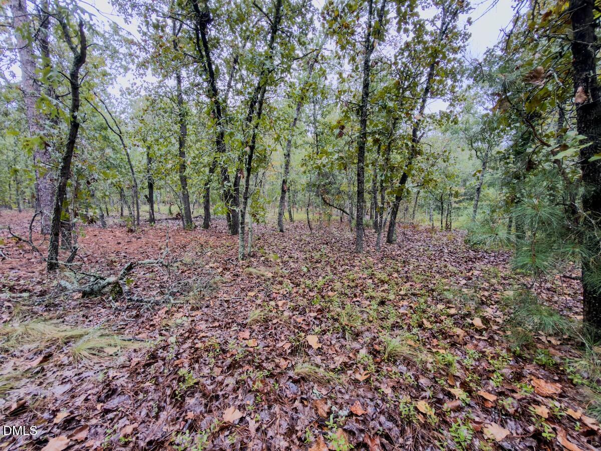 599 McDuffie Road Cameron, NC 28326 - Photo 4 of 24 04_McDuffie