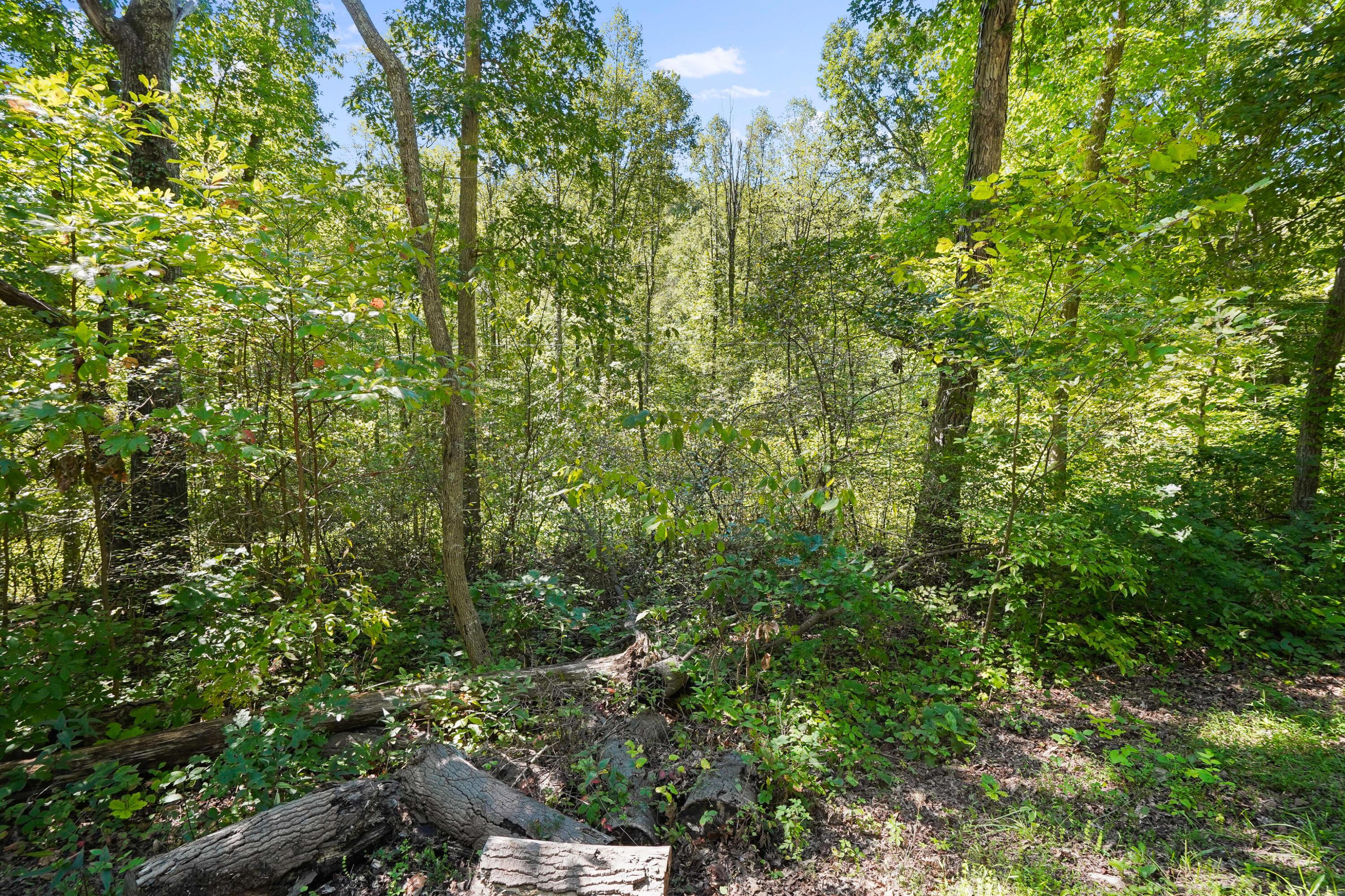 0 Blue Valley Road Southwest Lancaster, OH 43130 - Photo 10 of 26