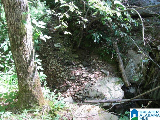 0 Choctaw Trail, Unit 10 Hayden, AL 35079 - Photo 7 of 24