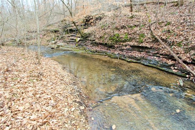 232 Kro Hollow Road Hohenwald, TN 38462 - Photo 13 of 17 Gallery Image 13