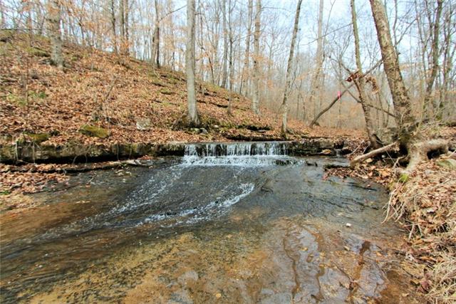 232 Kro Hollow Road Hohenwald, TN 38462 - Photo 14 of 17 Gallery Image 14