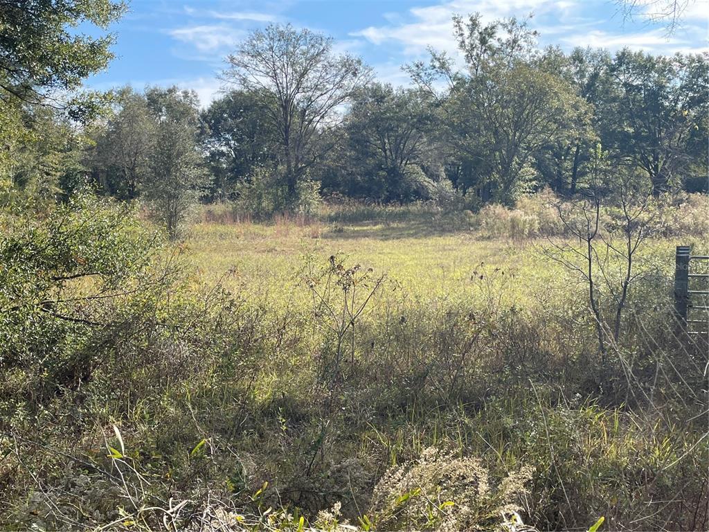 Southwest Sheppard Road Lake City, FL 32024 - Photo 1 of 1