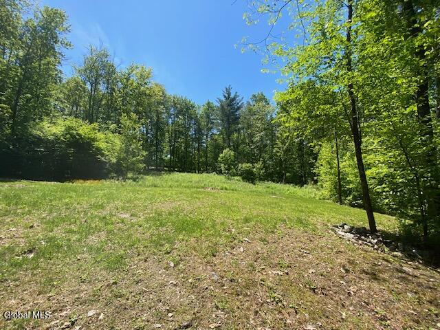 45 Weaver Dam Road Petersburgh, NY 12138 - Photo 12 of 21 IMG_5987