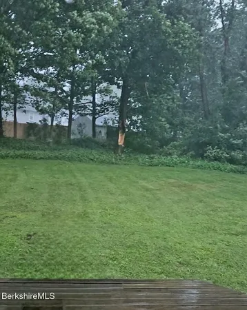 a view of a yard