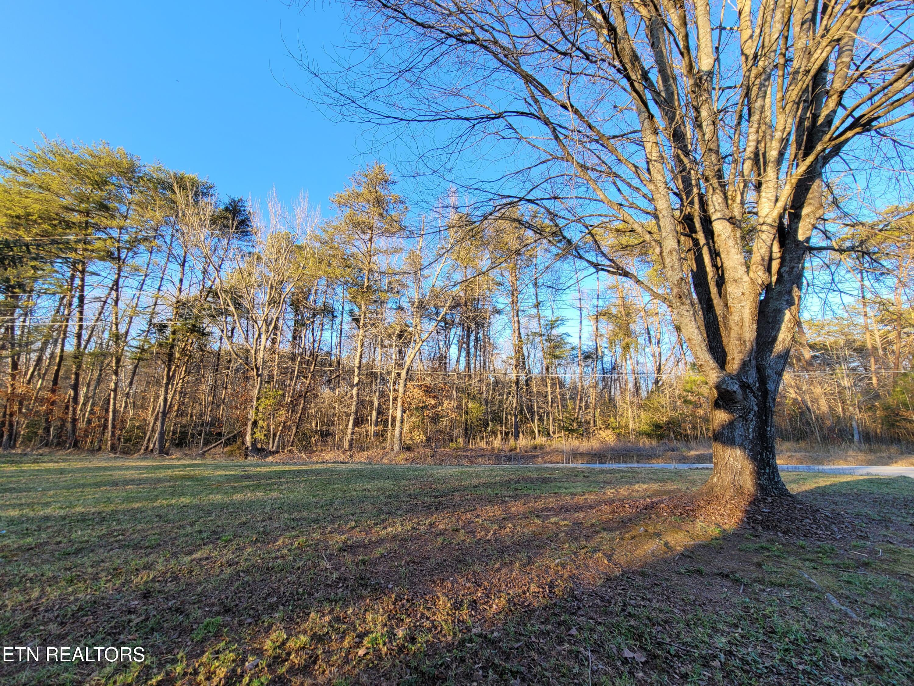 2316 Poe Road Soddy Daisy, TN 37379 - Photo 17 of 21 20260227_175658