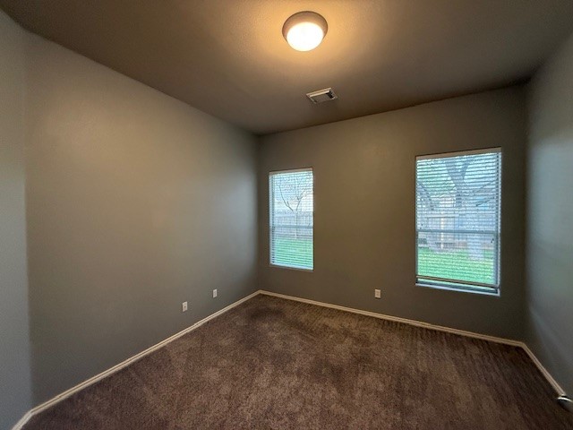 3717 Tall Cedars Road Cedar Park, TX 78613 - Photo 12 of 22 an empty room with windows