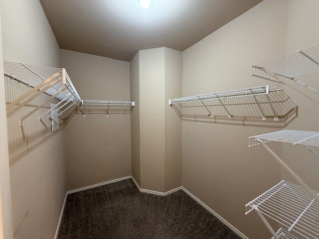 3717 Tall Cedars Road Cedar Park, TX 78613 - Photo 10 of 22 a view of storage and utility room with racks on the wall