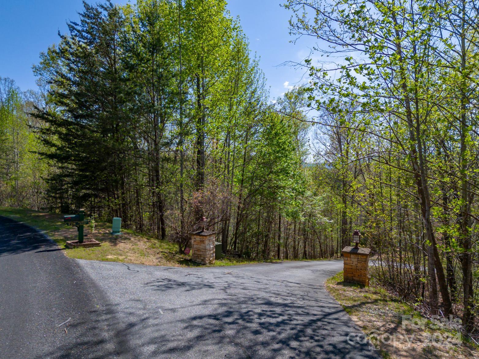 778 Pkwy N Road Mill Spring, NC 28756 - Photo 40 of 48 a view of a backyard with large trees