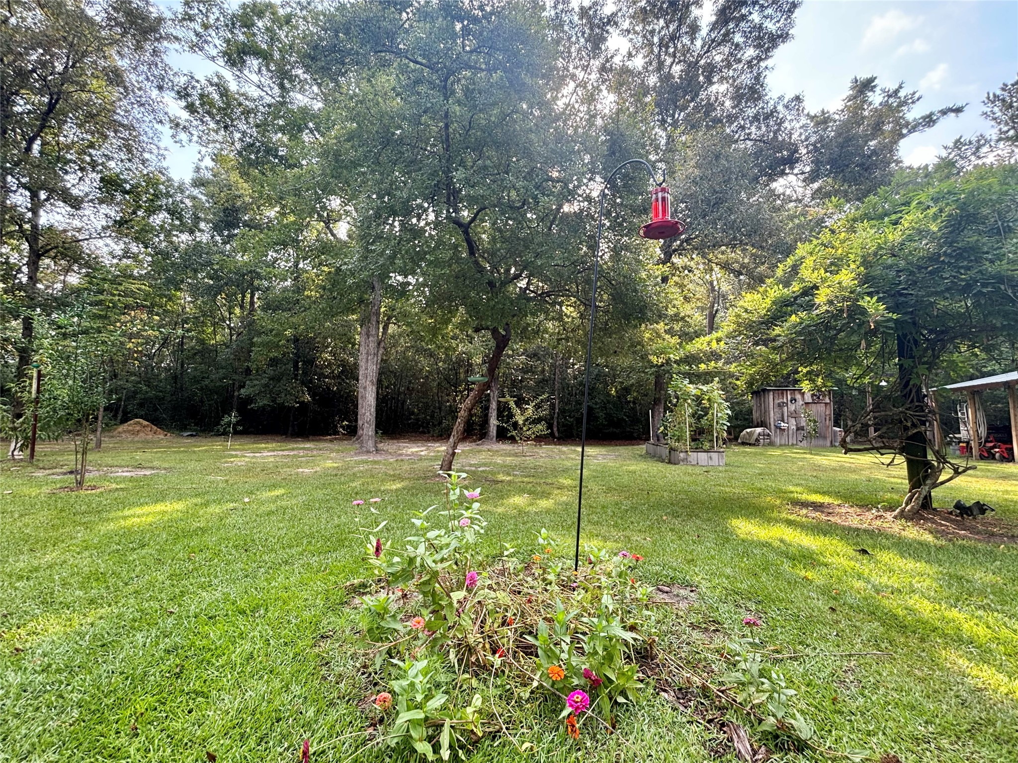 516 County Road 4800 Warren, TX 77664 - Photo 32 of 50 a view of a tree in a yard