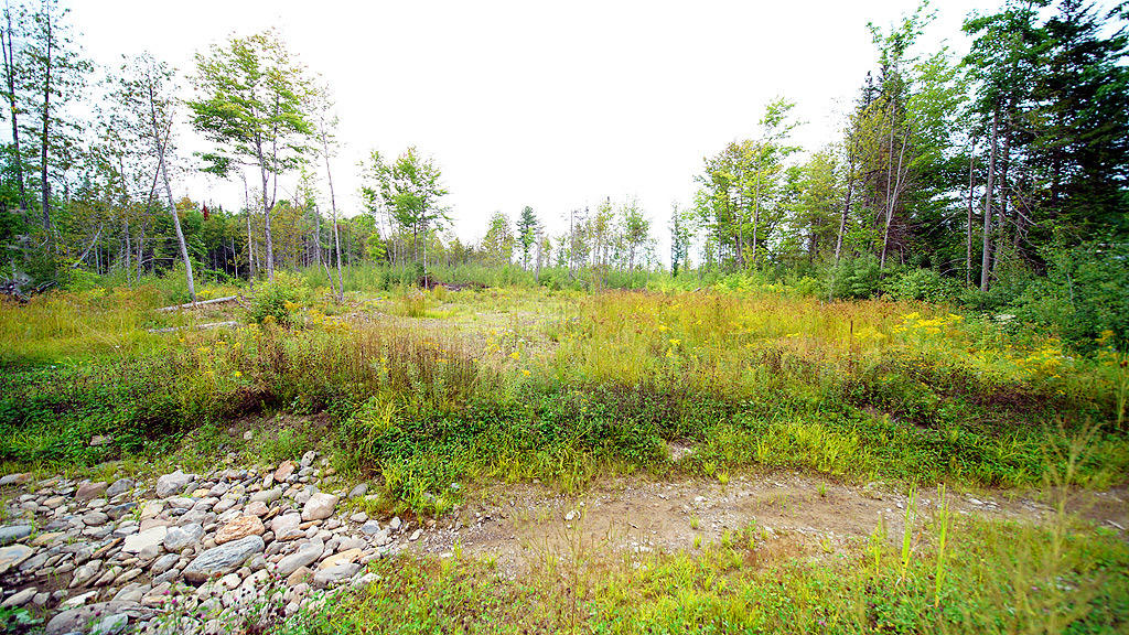 Lot 4 Callaghan Road Houlton, ME 04730 - Photo 22 of 23 davis-callaghan-rd-land-6