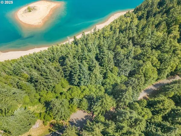 a view of a green yard