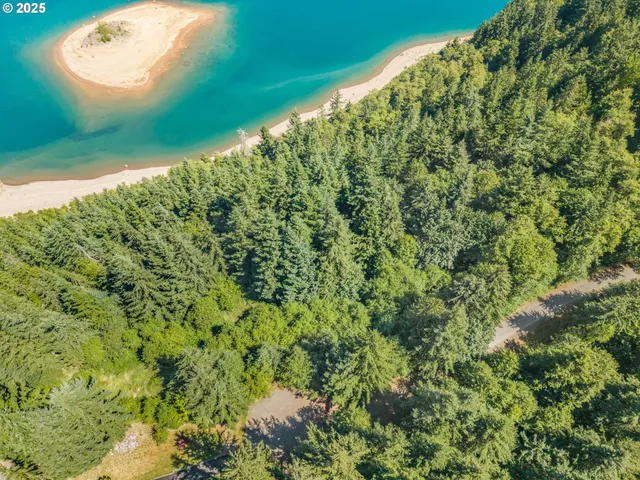 a view of a green yard