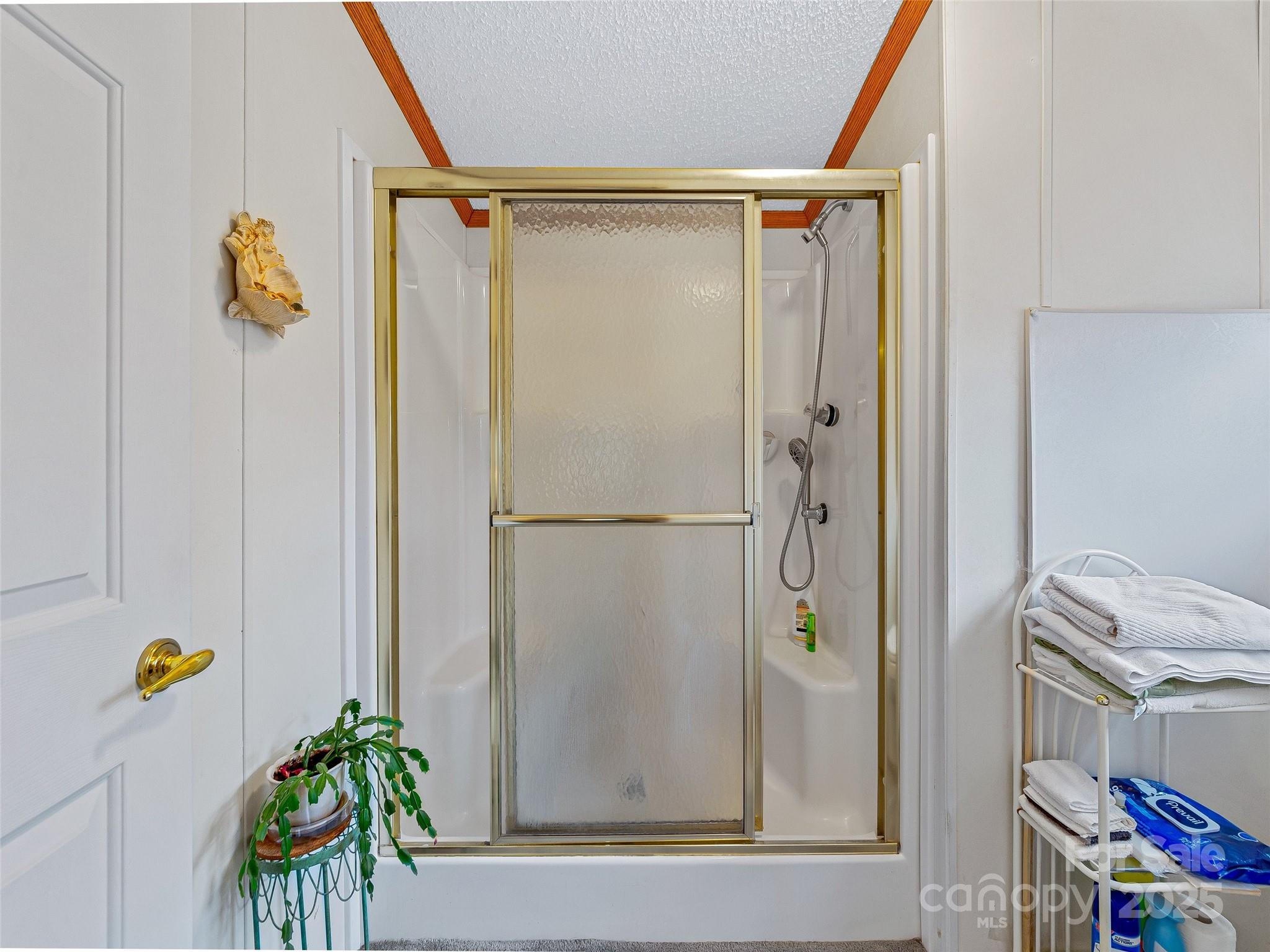 155 Maple Ridge Road Candler, NC 28715 - Photo 20 of 36