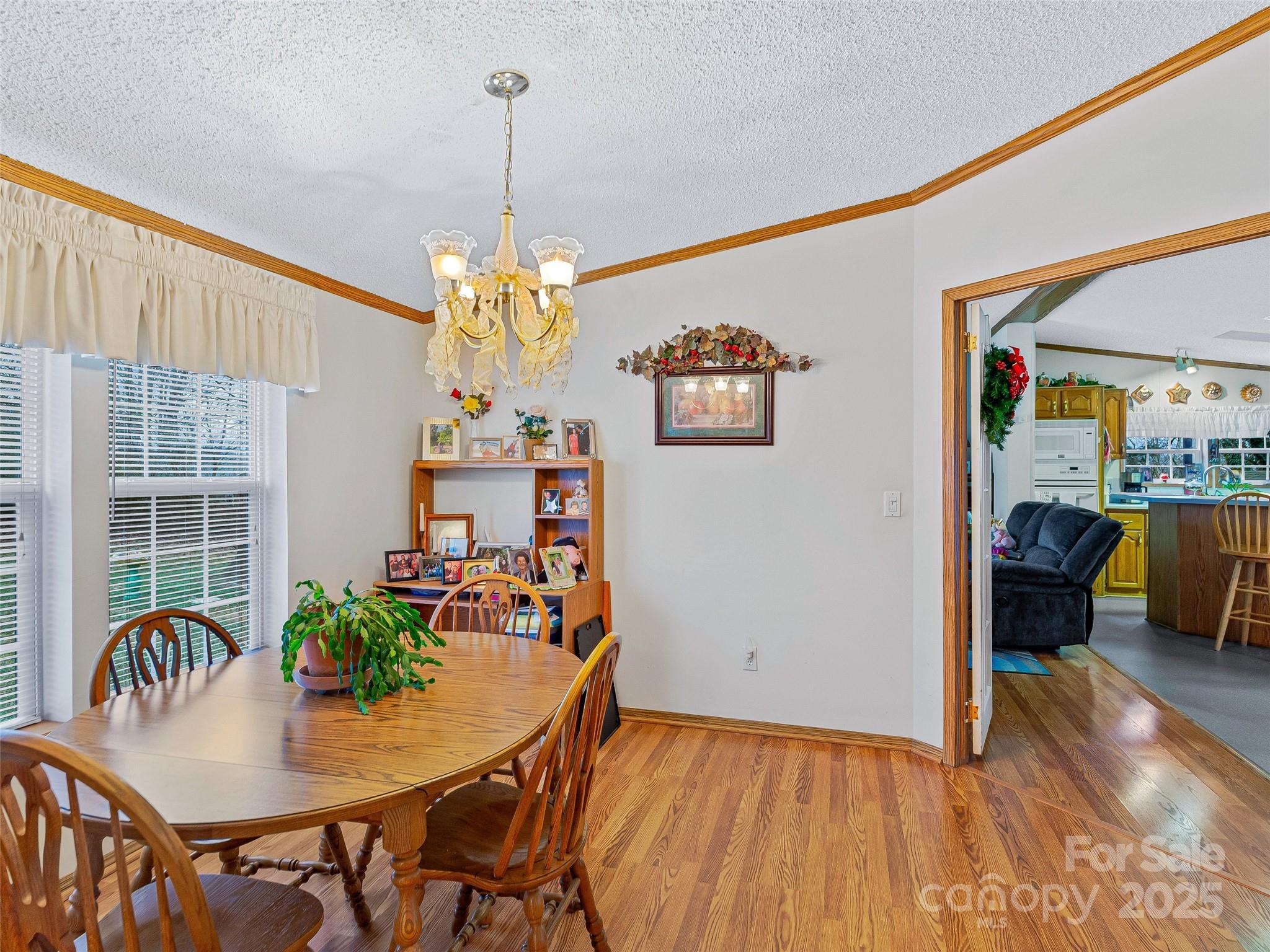 155 Maple Ridge Road Candler, NC 28715 - Photo 7 of 36