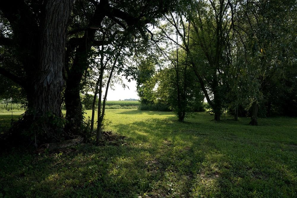 5706 South Shepherd Road Shepherd, MI 48883 - Photo 45 of 79