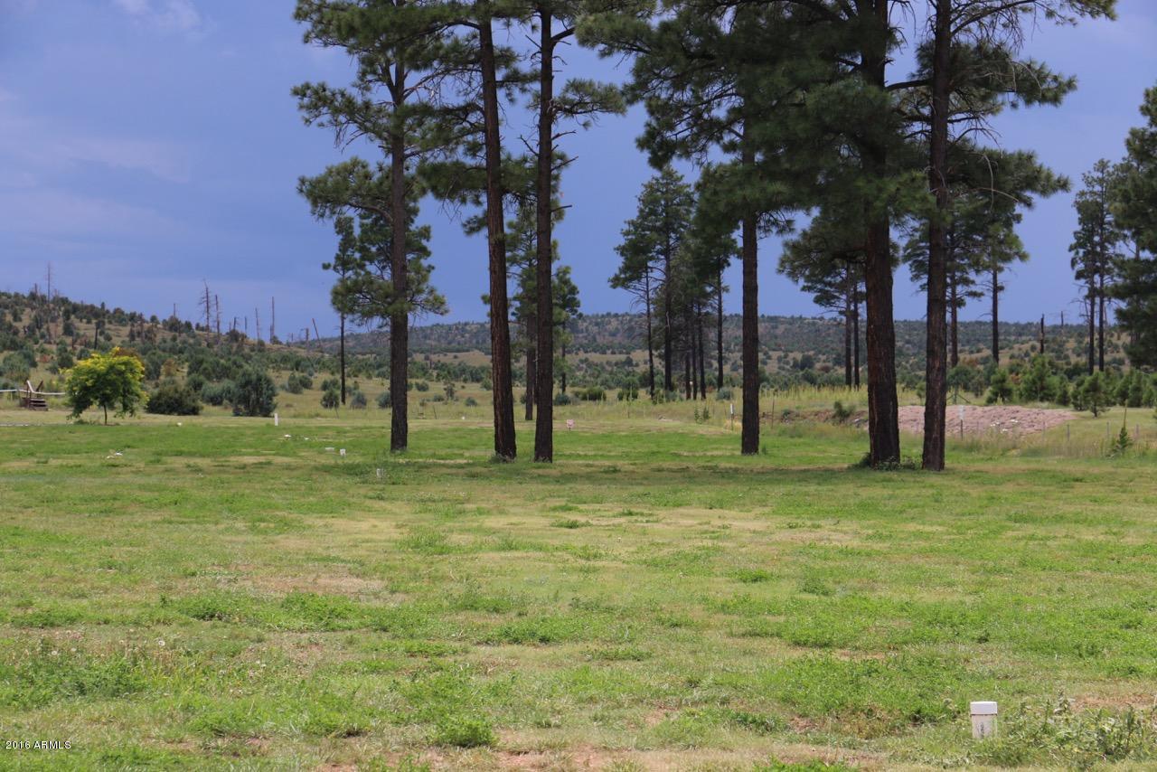 2216 Rodeo Road Overgaard, AZ 85933 - Photo 41 of 41 Pinecrest Lakes Common Area