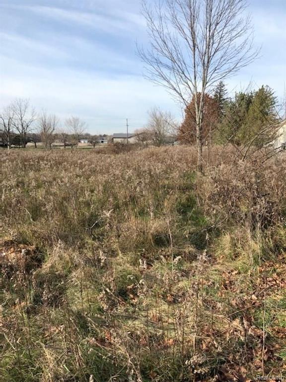 V/l Croswell Road Croswell, MI 48422 - Photo 5 of 8