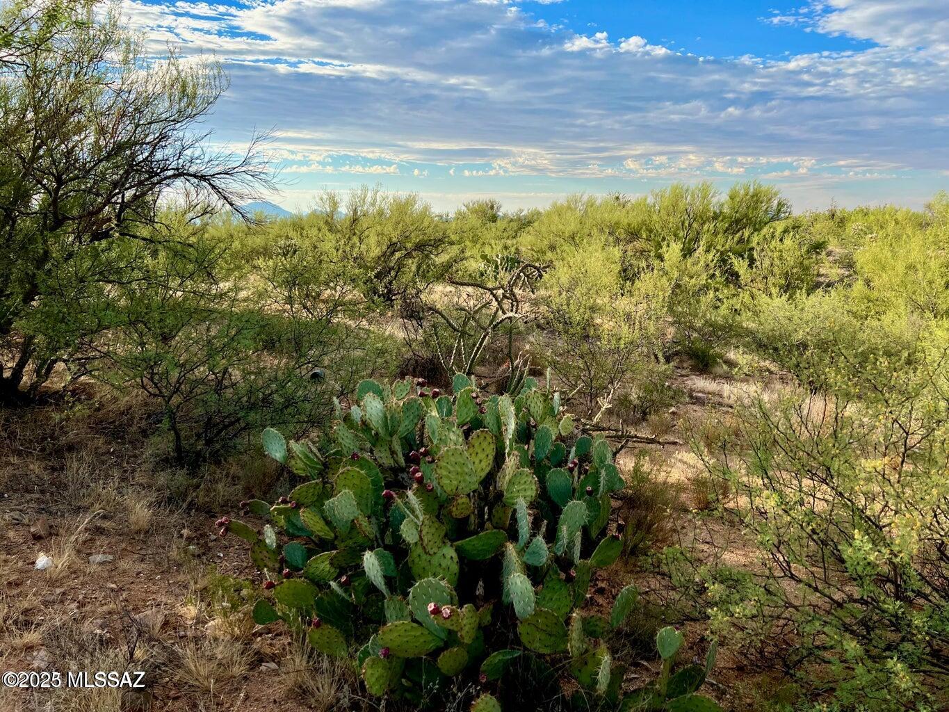 15966 West Phillips Road, Unit 270 Tucson, AZ 85736 - Photo 5 of 17 Gallery Image 5