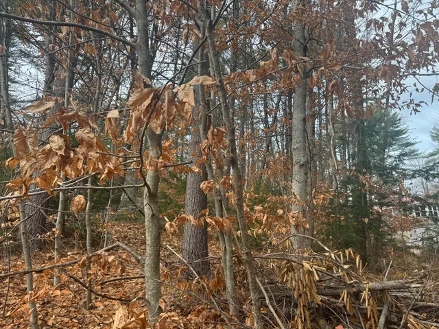 $5,000 | Mu16-l23b Mu16-l23b Off Of East Lane, Porter, ME 04068