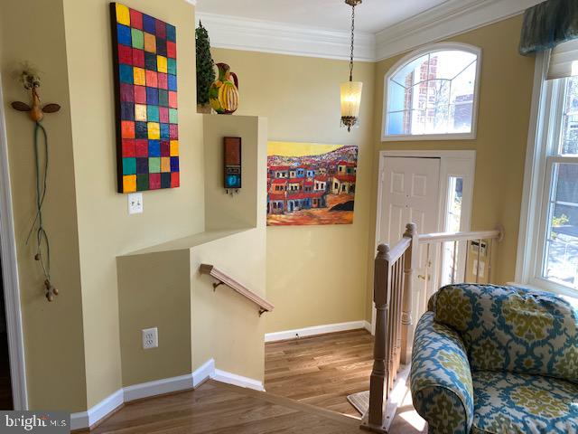 12154 Tryton Way Reston, VA 20190 - Photo 3 of 36 Gallery Image 3