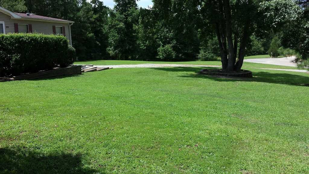 833 Clark Pond Road Clayton, NC 27527 - Photo 18 of 20 Photo 18
