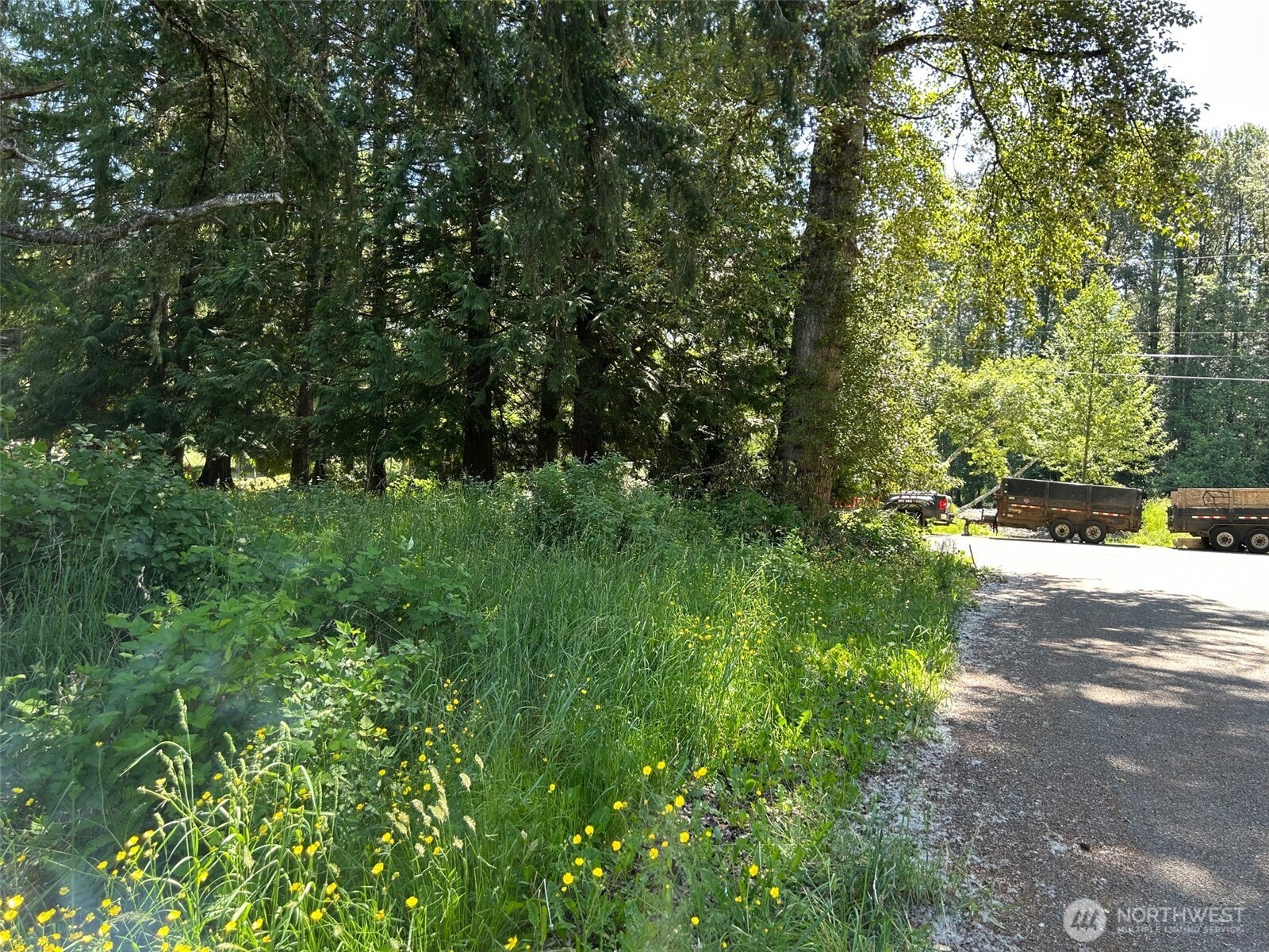 201 Morgan Lane Brinnon, WA 98320 - Photo 4 of 5 a big yard with lots of green space and deers