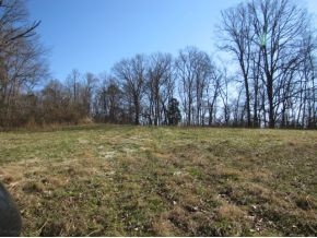 0 Bright Hope Road, Unit 34 Greeneville, TN 37743 - Photo 2 of 2 Photo 2