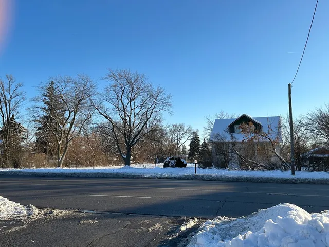 a view of a yard in front of a house with a tree