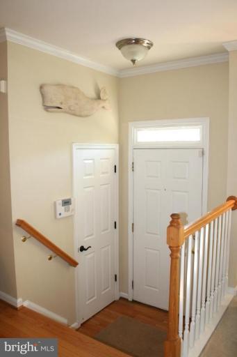 Entrance / Foyer