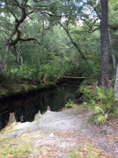 6520 Iral Smith Road Perry, FL 32347 - Photo 1 of 12