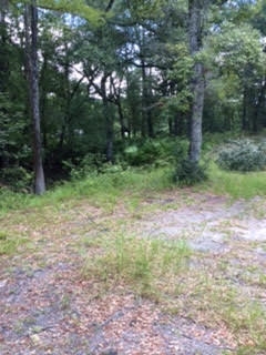 6520 Iral Smith Road Perry, FL 32347 - Photo 3 of 12
