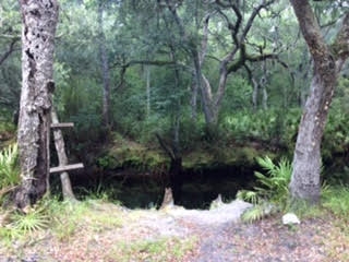 6520 Iral Smith Road Perry, FL 32347 - Photo 4 of 12