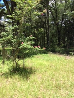 6520 Iral Smith Road Perry, FL 32347 - Photo 9 of 12