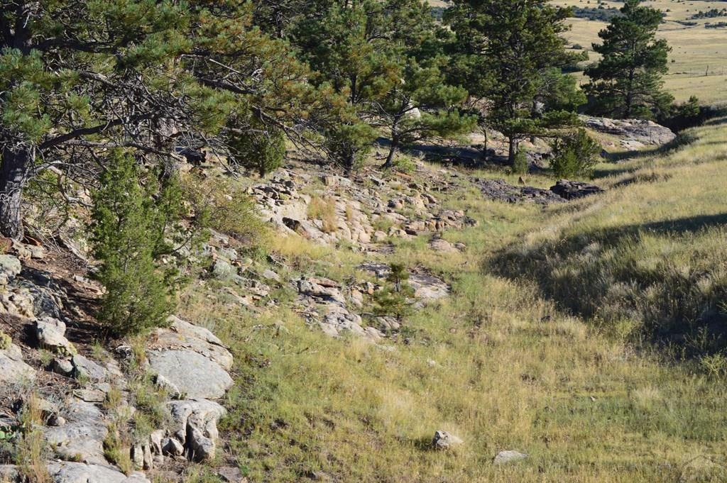 Tbd Tbd Plata Peak Rye, CO 81069 - Photo 5 of 11