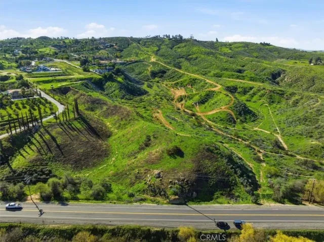 a view of a lush green forest with houses in the back
